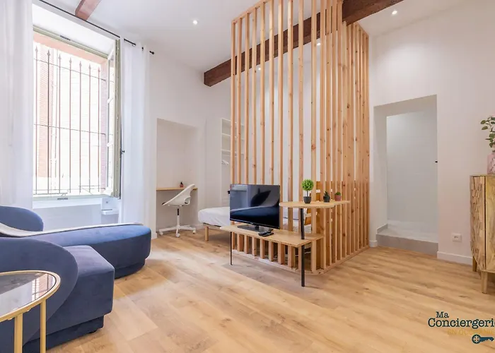 Pharaon - Carmes Metro & Tram A Pied Апартаменты Тулуза